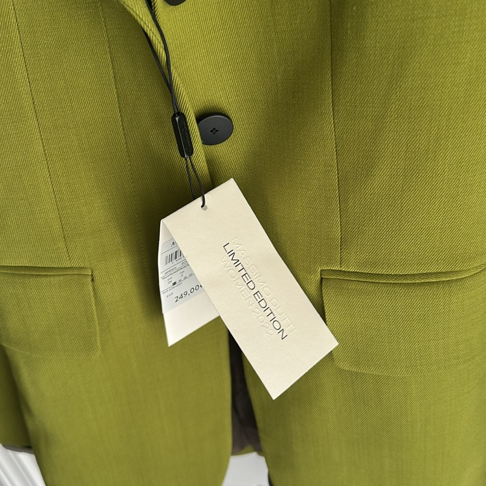 Massimo Dutti Green Blazer Suit Jacket - Picture 6 of 11